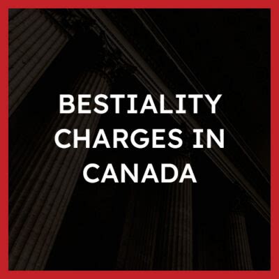 is bestiality legal in canada|Canada passes new law cracking down on animal cruelty, bestiality